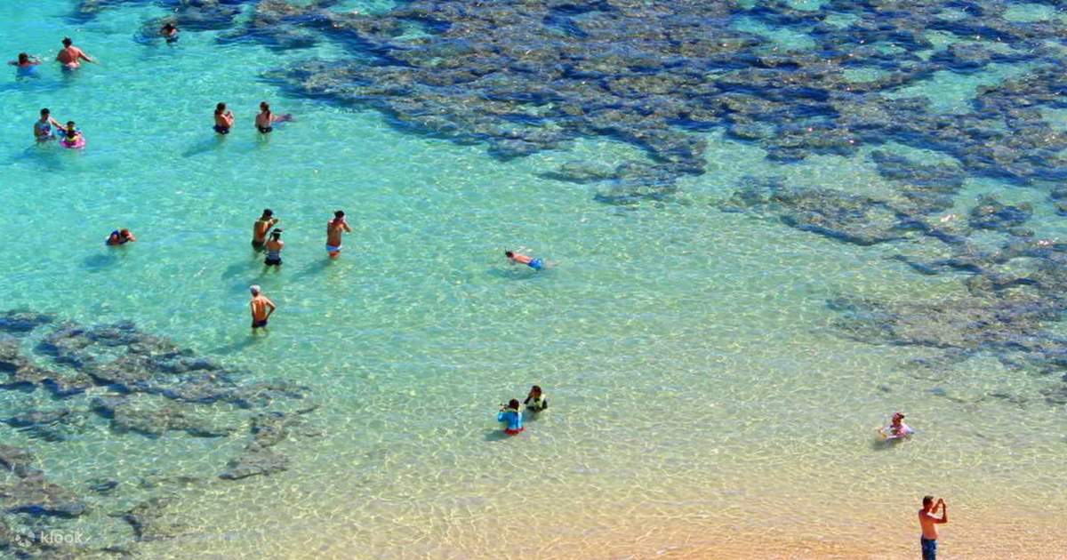 North Shore and Hanauma Bay Bus Tour in Oahu, Hawaii Klook United States